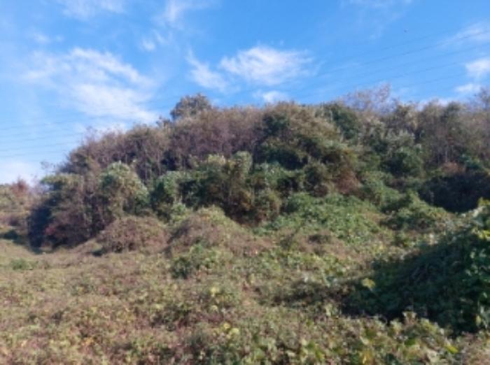 충청남도 당진시 송악읍 석포리 351-20 임야 경매 사진 22