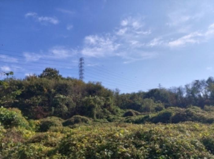 충청남도 당진시 송악읍 석포리 351-20 임야 경매 사진 25