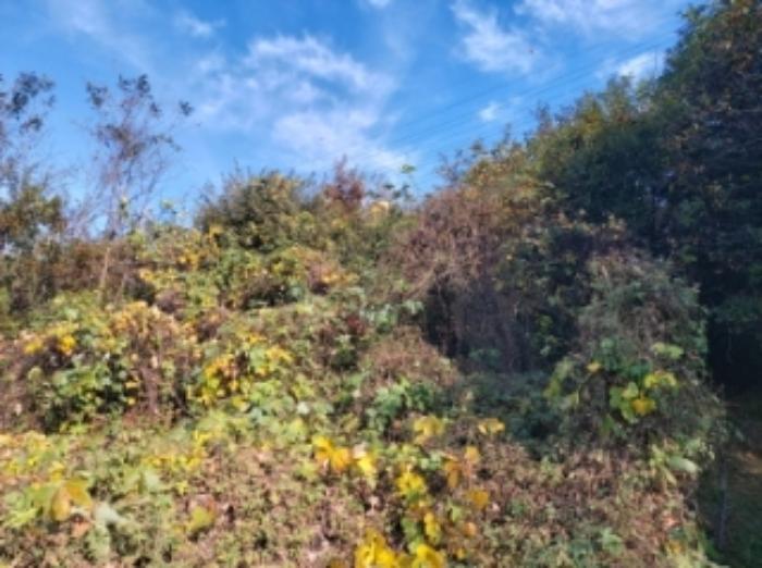 충청남도 당진시 송악읍 석포리 351-20 임야 경매 사진 29