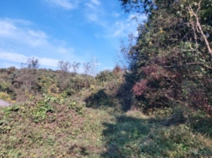 충청남도 당진시 송악읍 석포리 351-20 임야 경매 사진 31