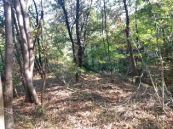 충청남도 당진시 송악읍 석포리 351-20 임야 경매 사진 35