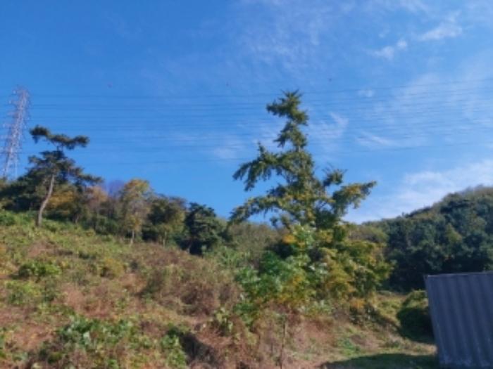 충청남도 당진시 송악읍 석포리 351-20 임야 경매 사진 44