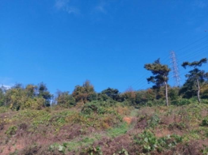충청남도 당진시 송악읍 석포리 351-20 임야 경매 사진 45