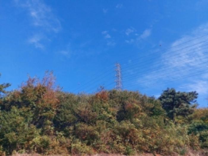 충청남도 당진시 송악읍 석포리 351-20 임야 경매 사진 47