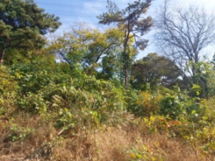 충청남도 당진시 송악읍 석포리 351-20 임야 경매 사진 49