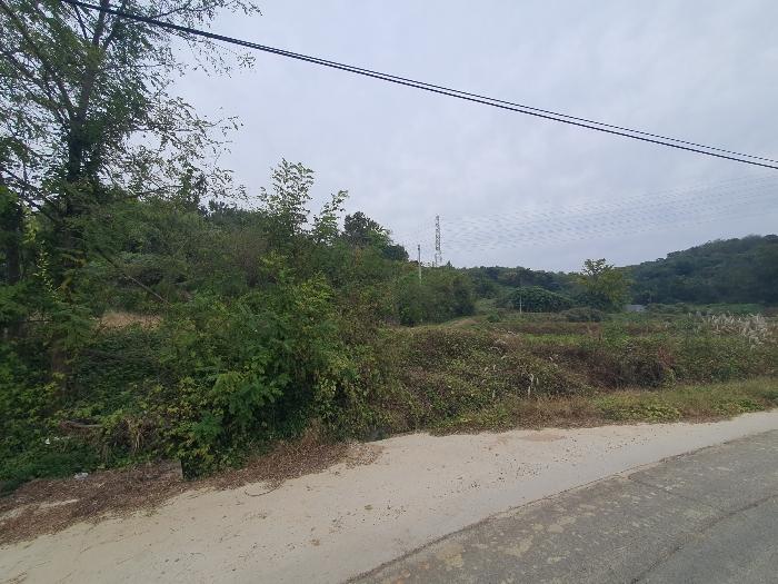 충청남도 당진시 송악읍 석포리 351-20 임야 경매 사진 6