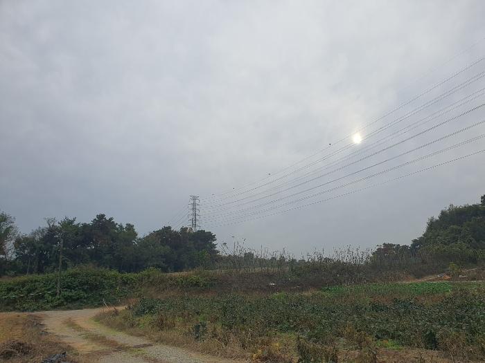 충청남도 당진시 송악읍 석포리 351-20 임야 경매 사진 7