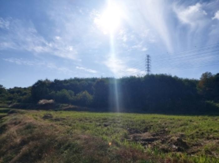 충청남도 당진시 송악읍 석포리 351-20 임야 경매 사진 9