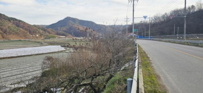 경상북도 김천시 구성면 구미리 464 전 경매 사진 10