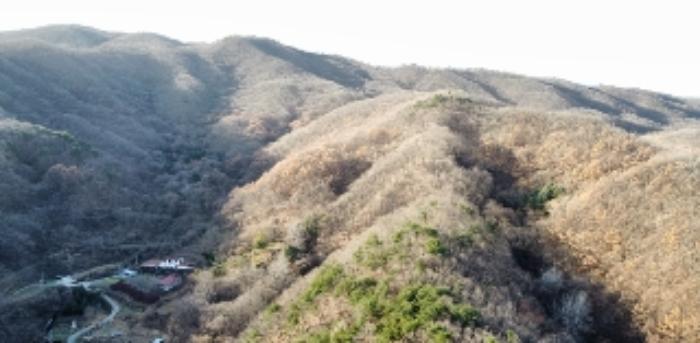 경상북도 김천시 구성면 구미리 464 전 경매 사진 8