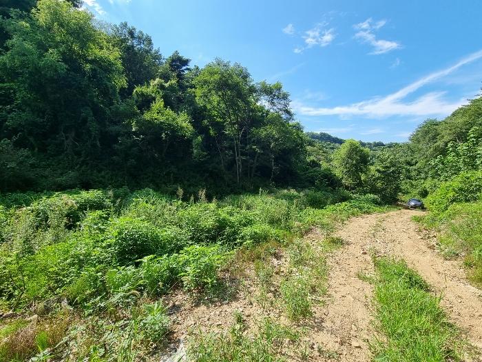 경상북도 청송군 파천면 병부리 270 임야 경매 사진 1