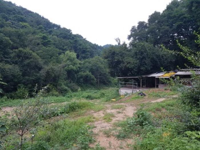 경상북도 청송군 파천면 병부리 270 임야 경매 사진 20