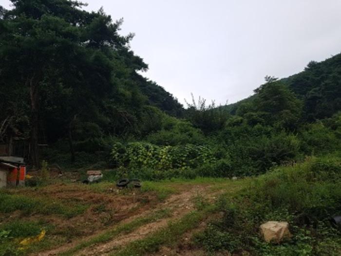경상북도 청송군 파천면 병부리 270 임야 경매 사진 21