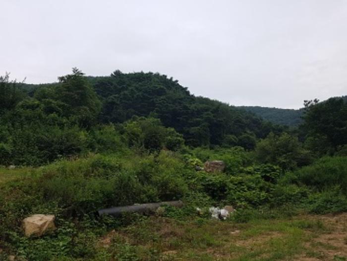 경상북도 청송군 파천면 병부리 270 임야 경매 사진 22
