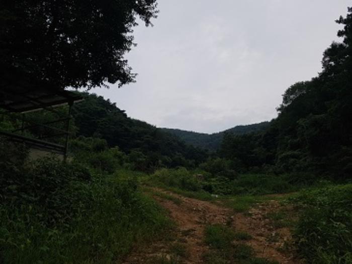 경상북도 청송군 파천면 병부리 270 임야 경매 사진 30