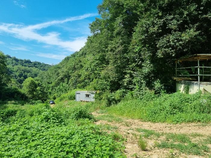 경상북도 청송군 파천면 병부리 270 임야 경매 사진 4