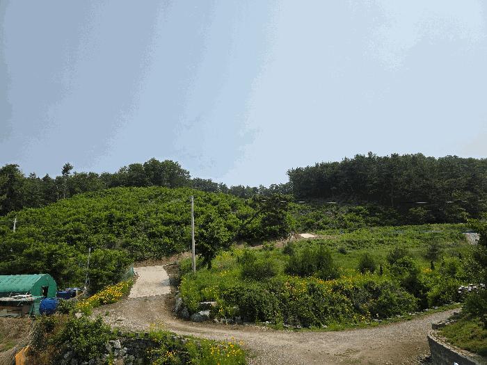충청북도 청주시 서원구 현도면 우록리 산30 임야 경매 사진 4