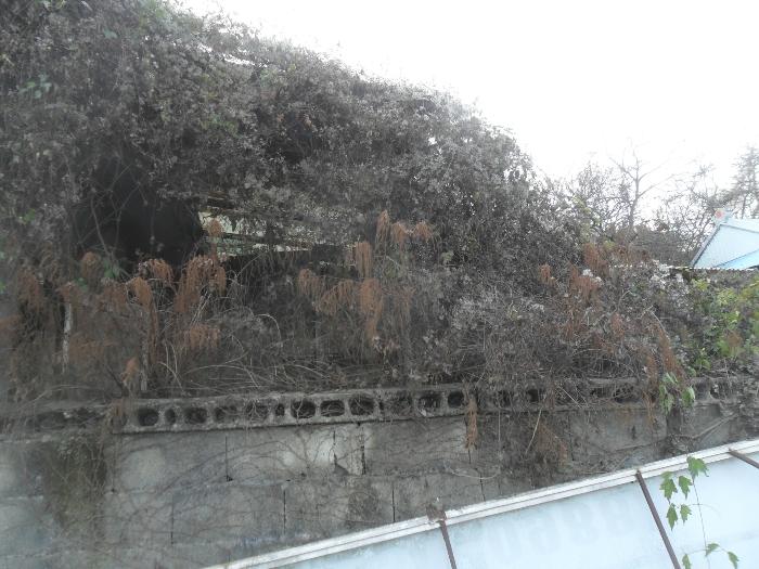 경상남도 창원시 마산회원구 내서읍 용담리 159-1 전 경매 사진 5