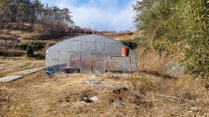 경상남도 함안군 법수면 강주리 229 전 경매 사진 18