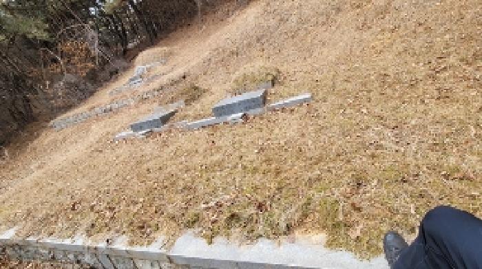 경상남도 함안군 법수면 강주리 229 전 경매 사진 21