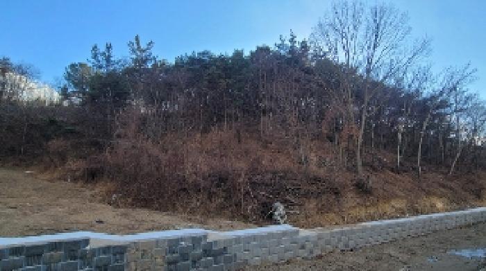 경상남도 함안군 법수면 강주리 229 전 경매 사진 22