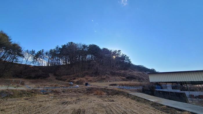경상남도 함안군 법수면 우거리 946 전 경매 사진 24