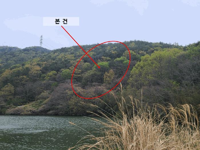 경상남도 창원시 마산합포구 진북면 정현리 산167 임야 경매 사진 2