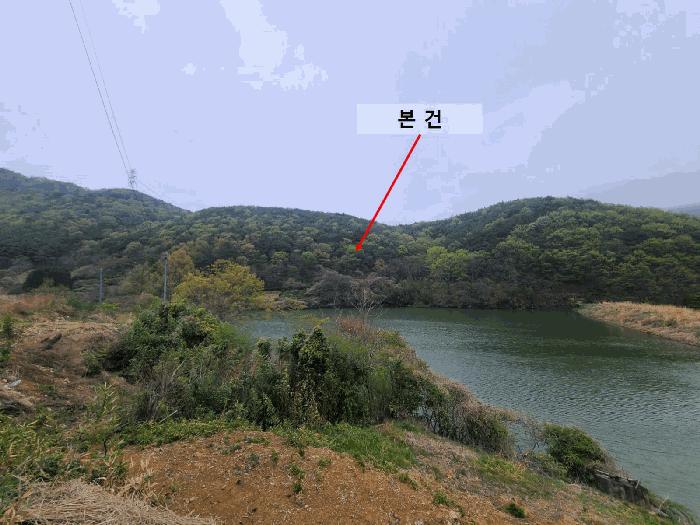 경상남도 창원시 마산합포구 진북면 정현리 산167 임야 경매 사진 3