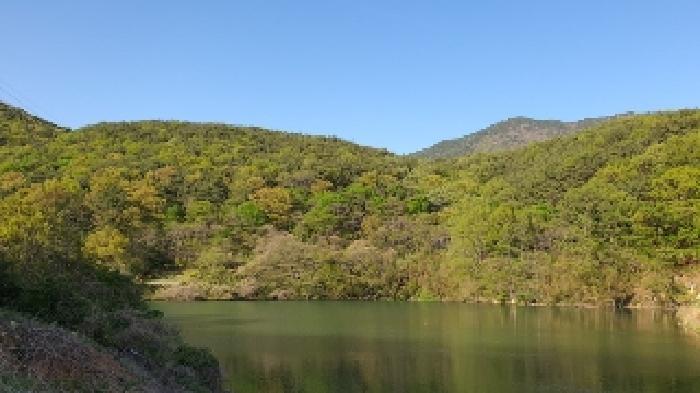 경상남도 창원시 마산합포구 진북면 정현리 산167 임야 경매 사진 5