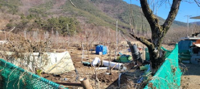 경상북도 청도군 금천면 사전리 758 전 경매 사진 13
