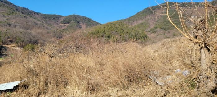 경상북도 청도군 금천면 사전리 758 전 경매 사진 16