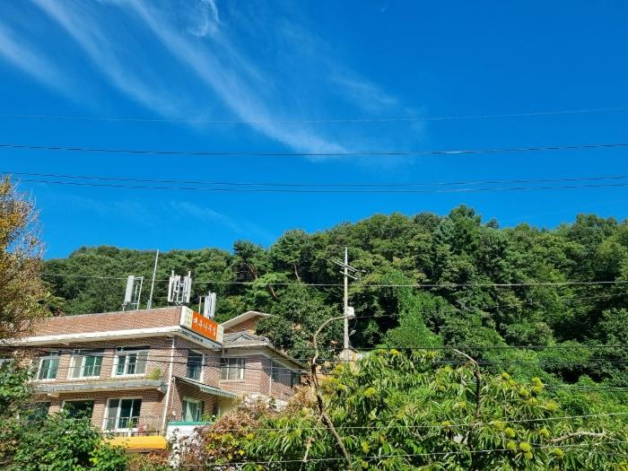 경기도 광주시 남한산성면 불당리 산75-3 임야 경매 사진 1