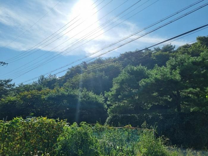 경기도 광주시 남한산성면 불당리 산75-3 임야 경매 사진 2