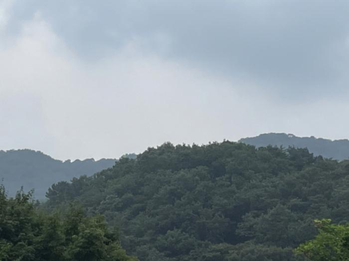 경기도 광주시 남한산성면 불당리 산75-3 임야 경매 사진 8