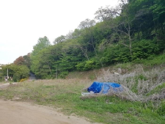 강원특별자치도 춘천시 칠전동 452-10 전 경매 사진 9