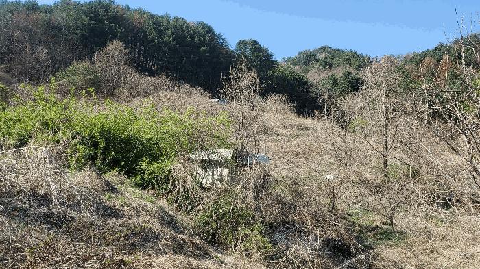 강원특별자치도 춘천시 남산면 방곡리 577 전 경매 사진 4
