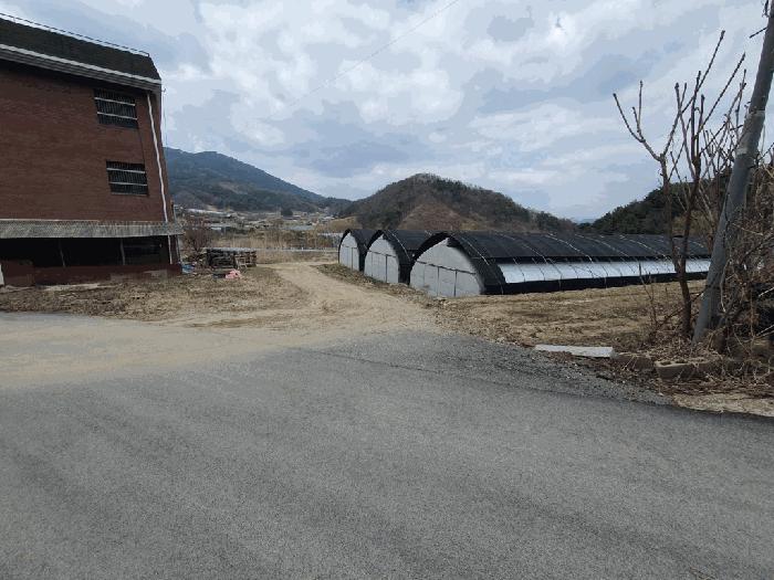 강원특별자치도 양구군 양구읍 공리 170-1 전 경매 사진 13
