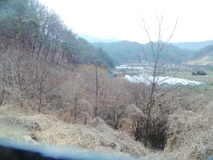 강원특별자치도 양구군 양구읍 공리 170-1 전 경매 사진 21