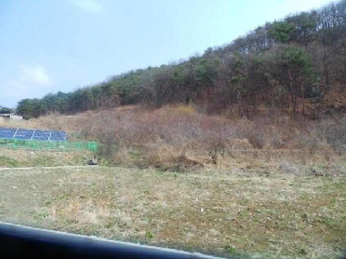 강원특별자치도 양구군 양구읍 공리 170-1 전 경매 사진 22
