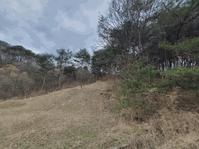 강원특별자치도 양구군 양구읍 공리 170-1 전 경매 사진 3