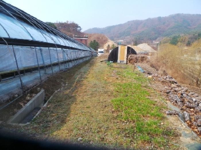 강원특별자치도 양구군 양구읍 공리 170-1 전 경매 사진 32