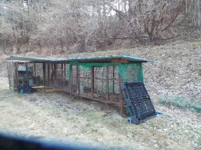 강원특별자치도 양구군 양구읍 공리 170-1 전 경매 사진 35