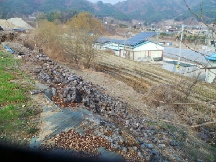 강원특별자치도 양구군 양구읍 공리 170-1 전 경매 사진 36