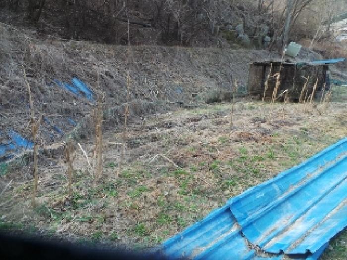 강원특별자치도 양구군 양구읍 공리 170-1 전 경매 사진 41