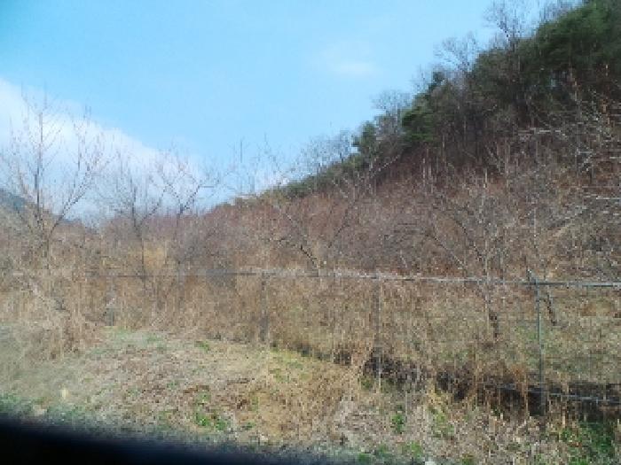 강원특별자치도 양구군 양구읍 공리 170-1 전 경매 사진 46