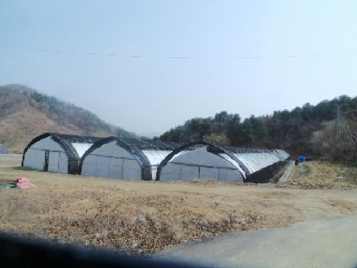 강원특별자치도 양구군 양구읍 공리 170-1 전 경매 사진 56