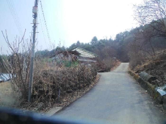 강원특별자치도 양구군 양구읍 공리 170-1 전 경매 사진 58