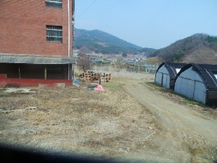 강원특별자치도 양구군 국토정중앙면 심포리 106-3 전 경매 사진 43