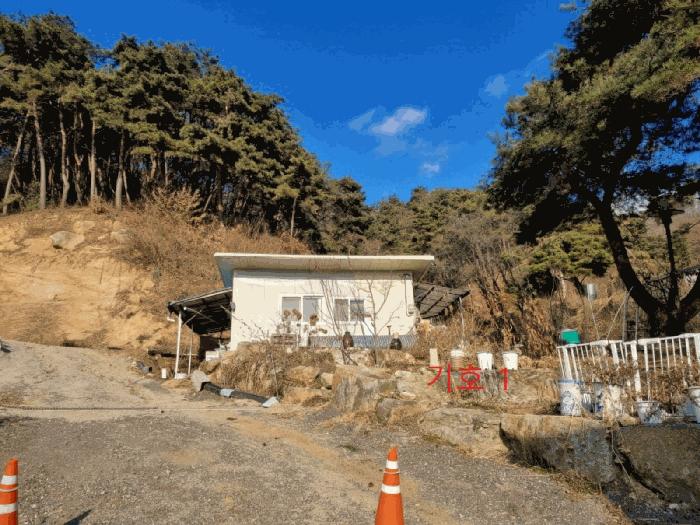 강원특별자치도 원주시 소초면 수암리 산17-17 목장용지 경매 사진 10