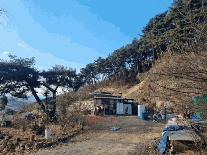 강원특별자치도 원주시 소초면 수암리 산17-17 목장용지 경매 사진 9